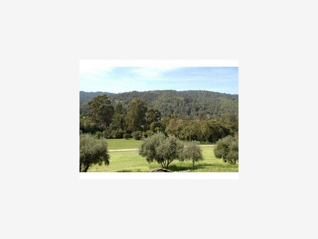 a picture of a bench in a window