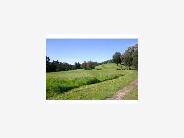 3411 Woodside Road Woodside, CA 94062 - Photo 2 of 5 a open hall with a outdoor space