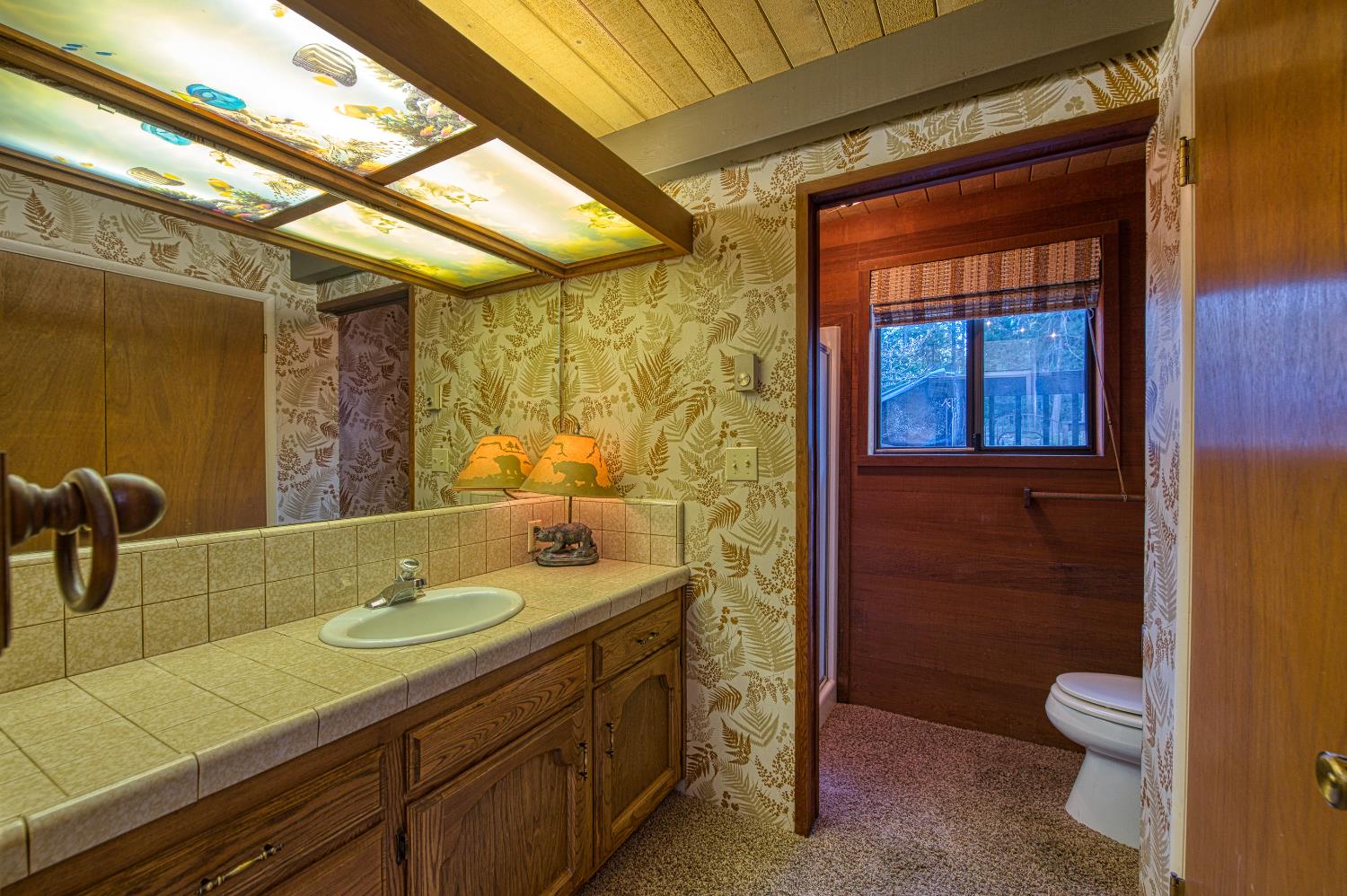 42005 Hanging Branch Road Shaver Lake, CA 93664 - Photo 32 of 41