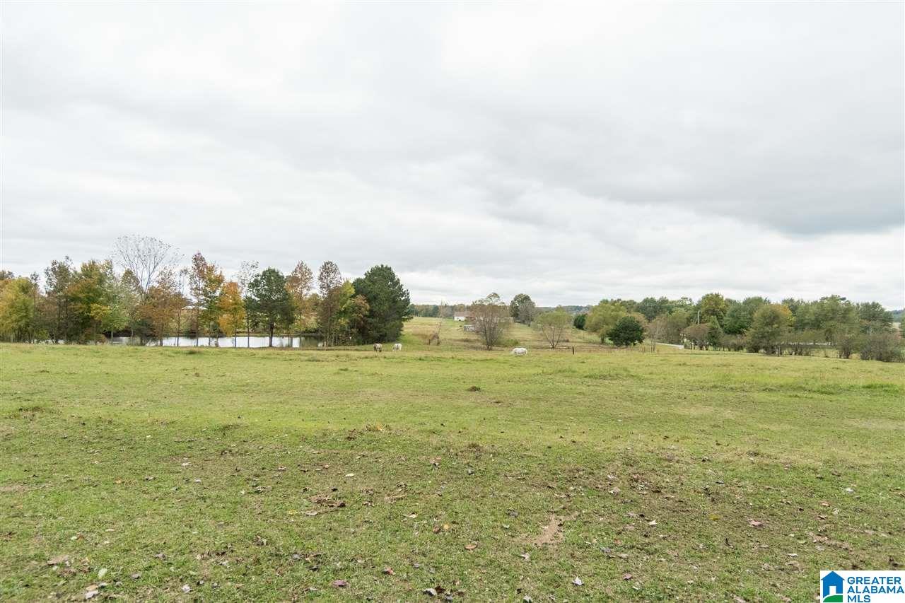460 Wow Road Blountsville, AL 35031 - Photo 50 of 50