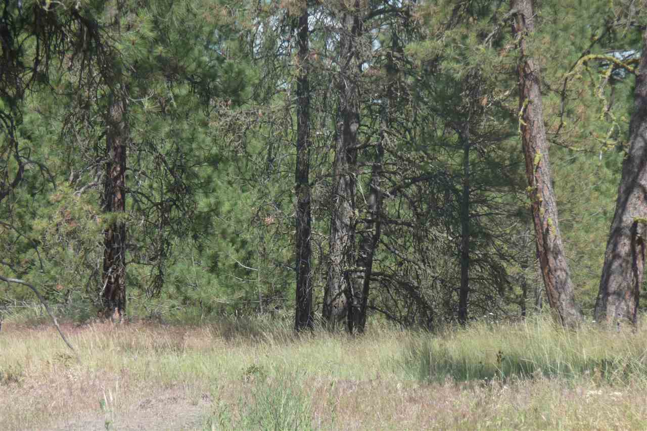 0 South Hunter Road Edwall, WA 99008 - Photo 1 of 12
