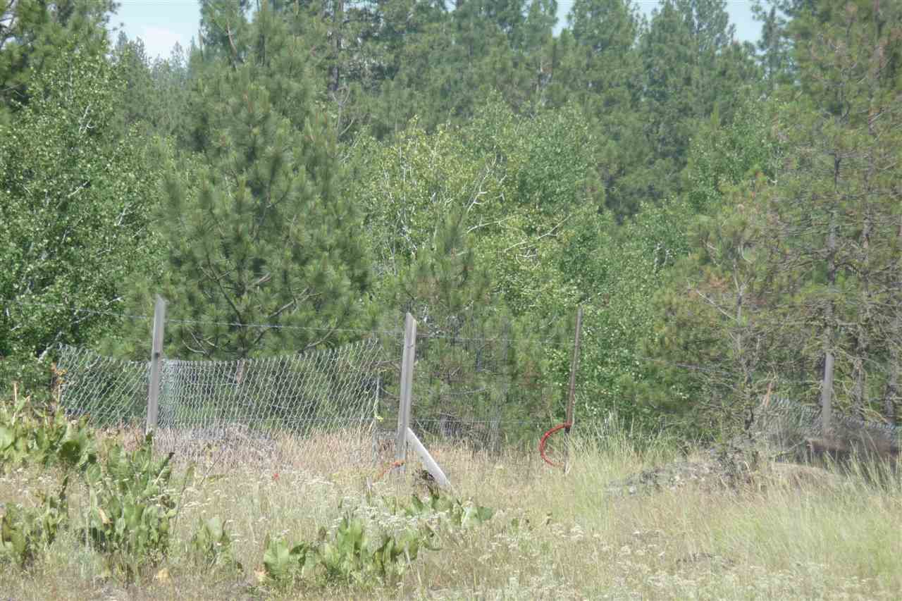 0 South Hunter Road Edwall, WA 99008 - Photo 2 of 12