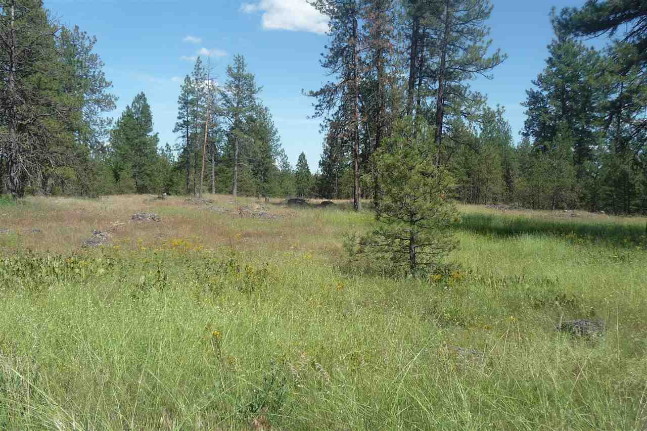 0 South Hunter Road Edwall, WA 99008 - Photo 11 of 12