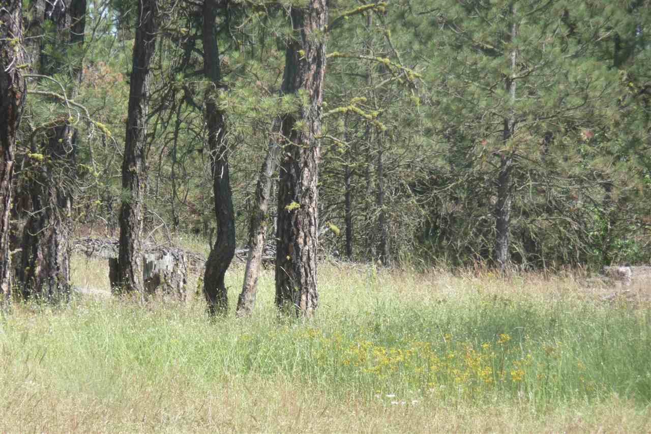 0 South Hunter Road Edwall, WA 99008 - Photo 3 of 12