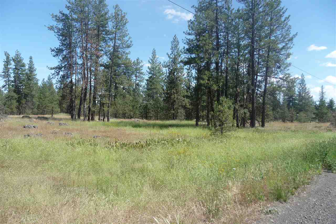 0 South Hunter Road Edwall, WA 99008 - Photo 4 of 12