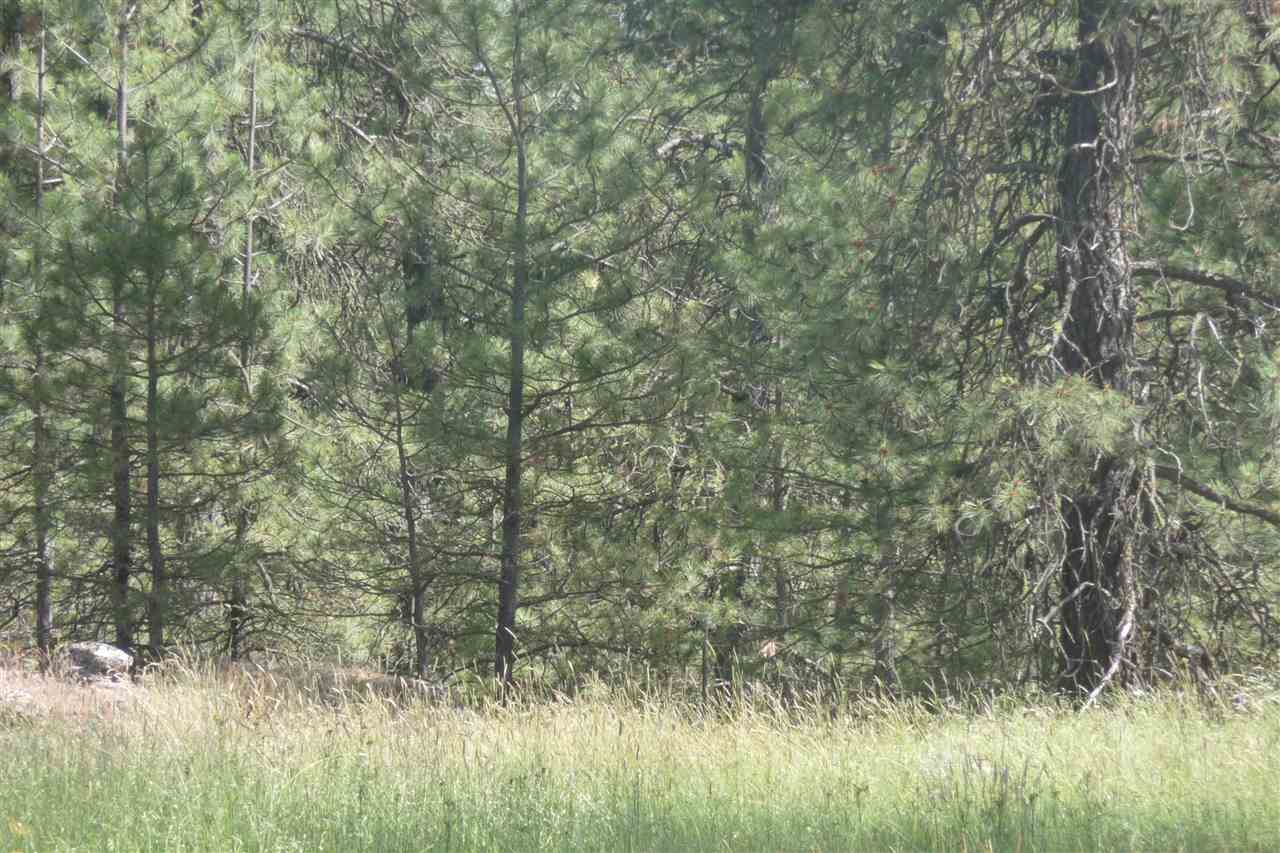 0 South Hunter Road Edwall, WA 99008 - Photo 7 of 12