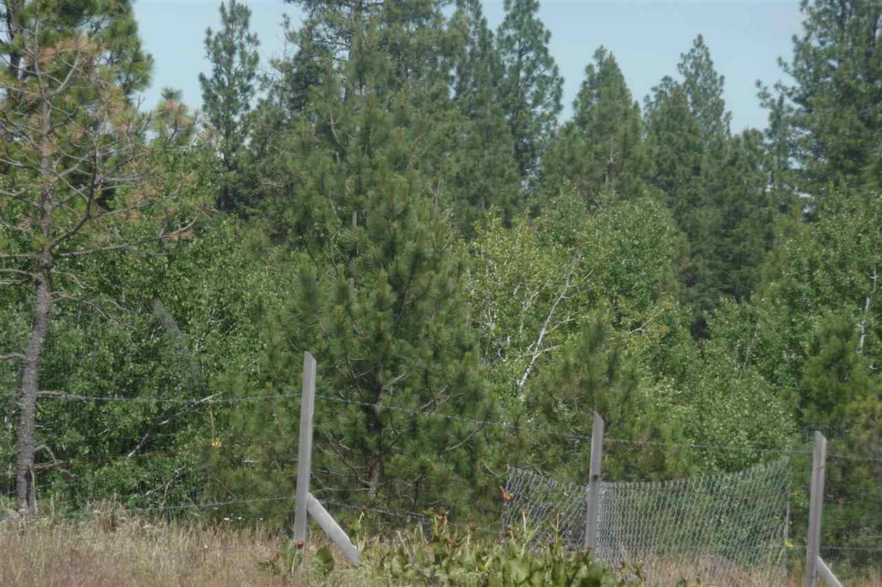 0 South Hunter Road Edwall, WA 99008 - Photo 8 of 12