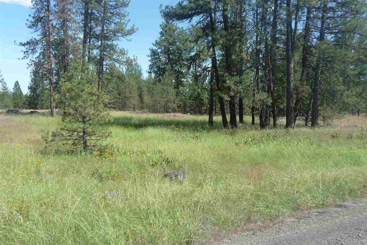 0 South Hunter Road Edwall, WA 99008 - Photo 10 of 12