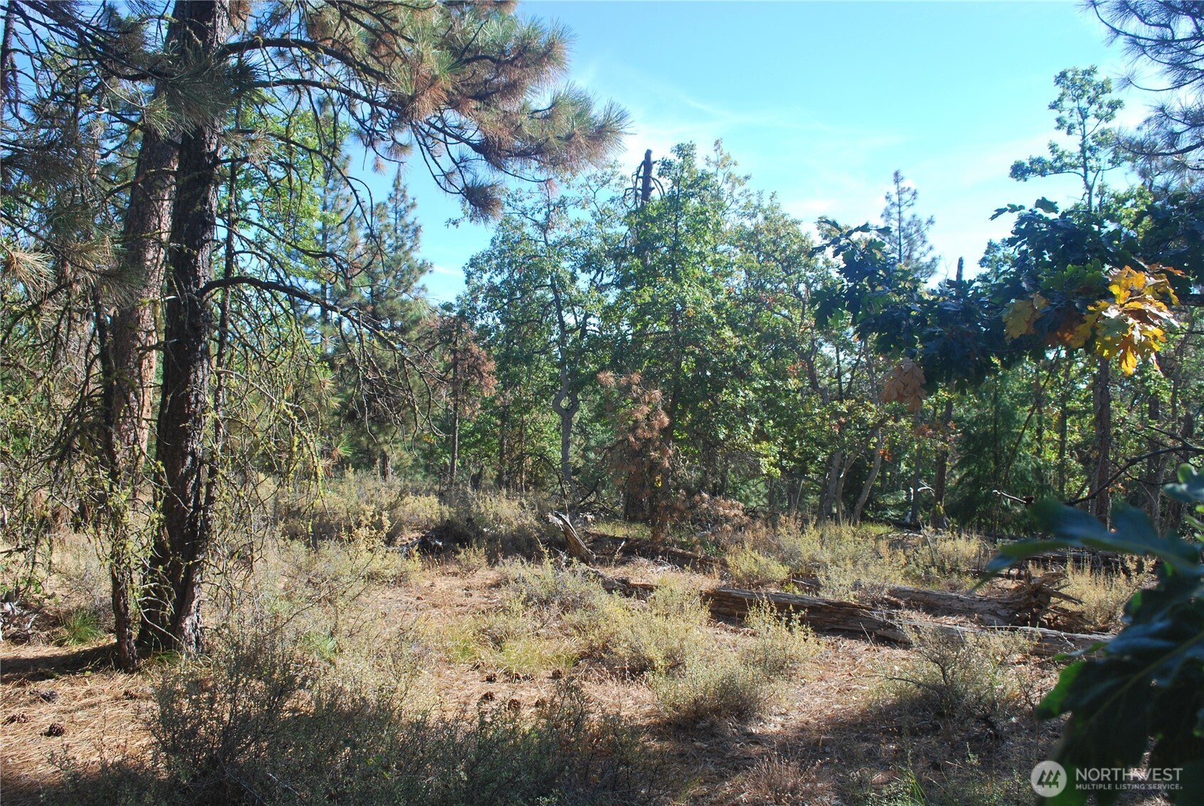 0 Hidden Meadows Goldendale, WA 98620 - Photo 2 of 3
