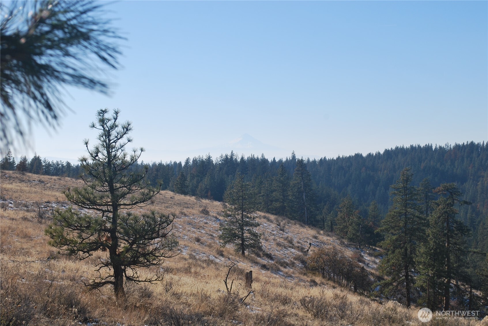 0 Hidden Meadows Goldendale, WA 98620 - Photo 3 of 3