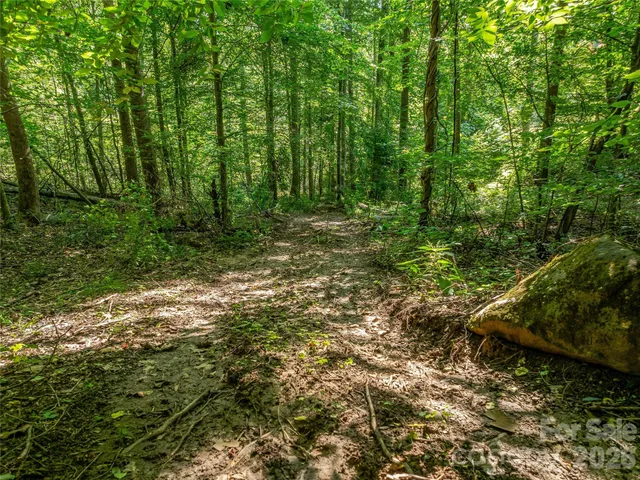 $2,895,000 | 39 Ox Bow Crossing, Weaverville, NC 28787