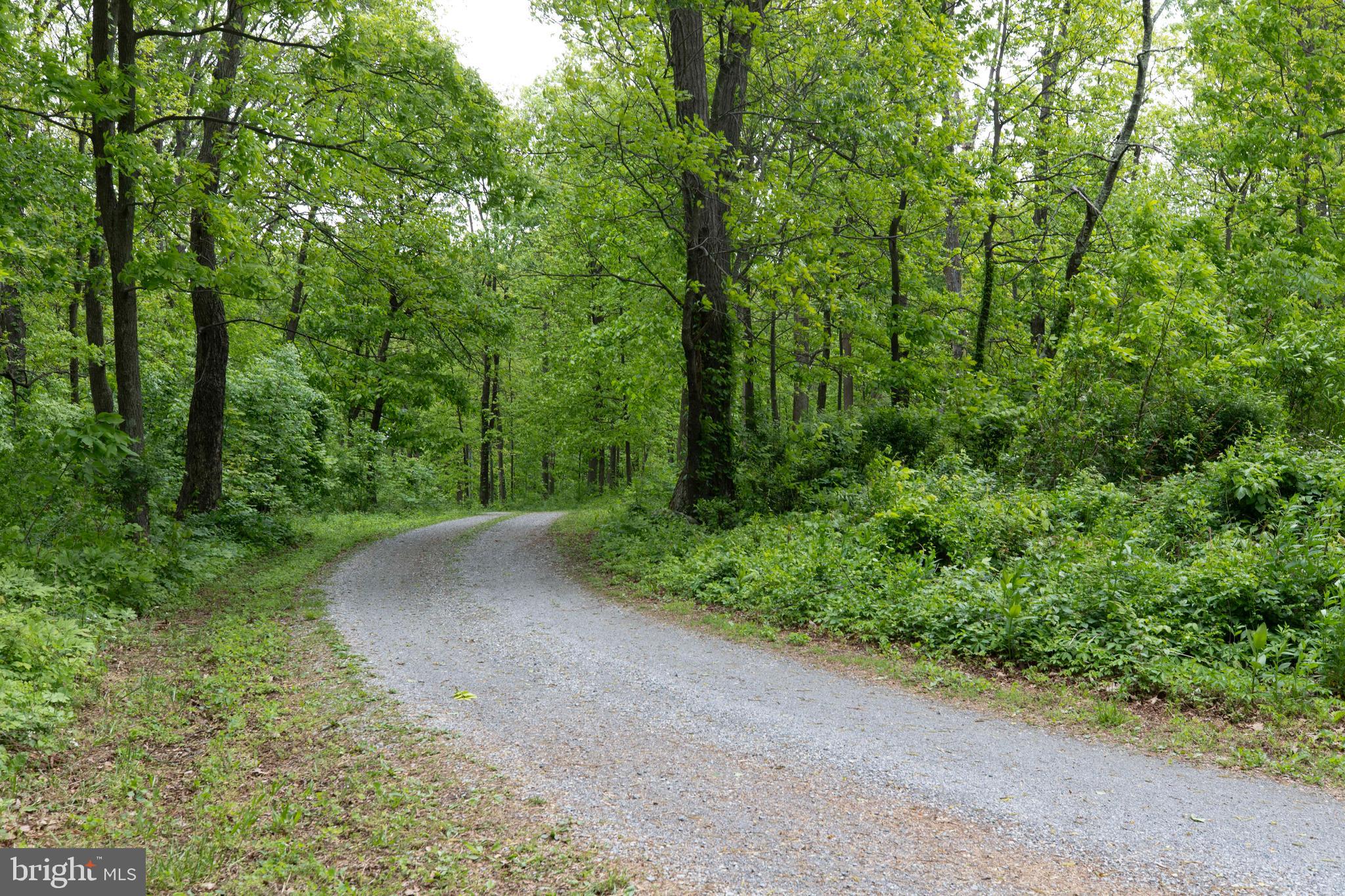 20711 Blue Ridge Mountain Road Paris, VA 20130 - Photo 82 of 82