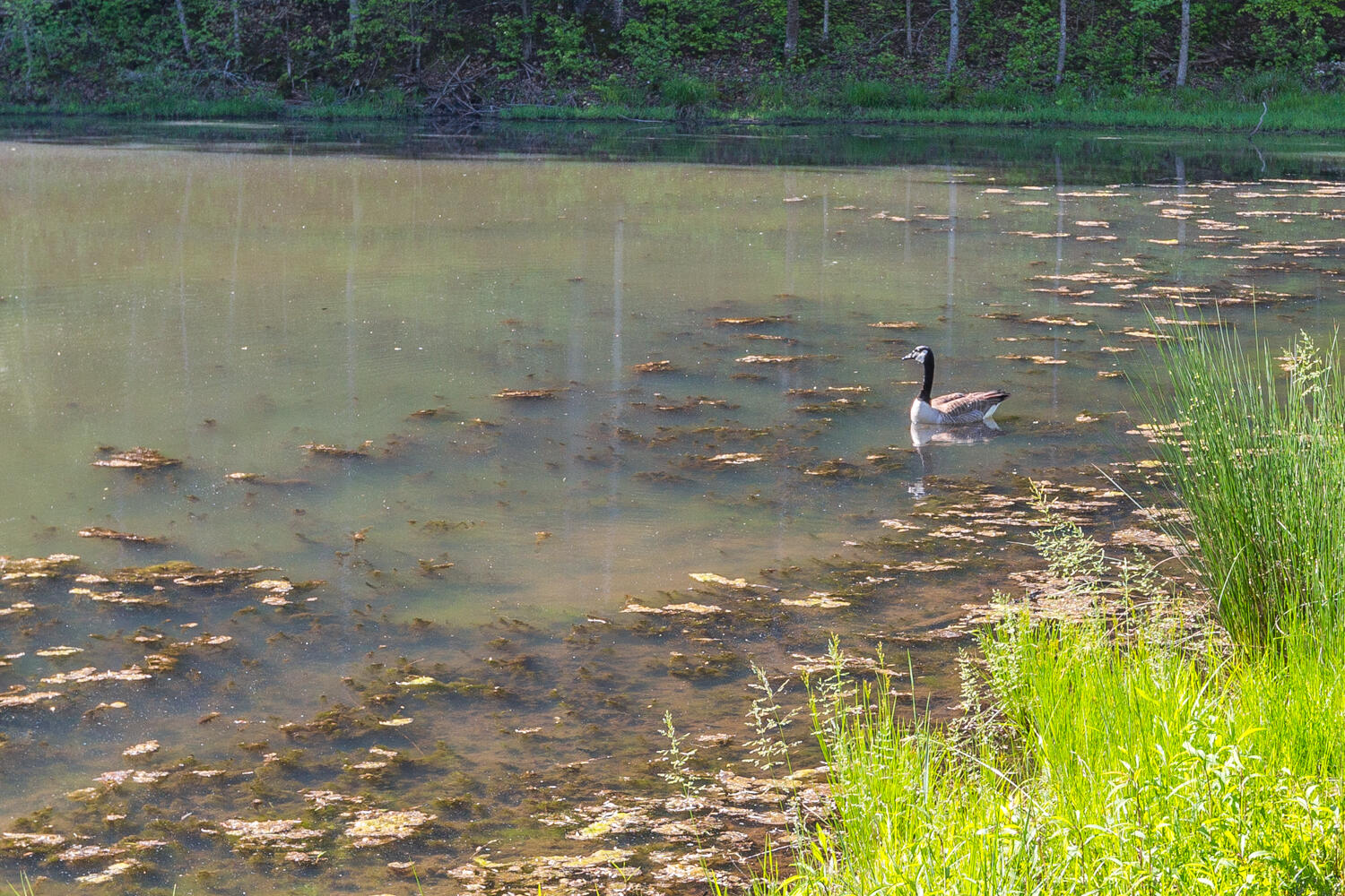 2027 West Cove Road Chickamauga, GA 30707 - Photo 26 of 58 2027 W Cove HD-12
