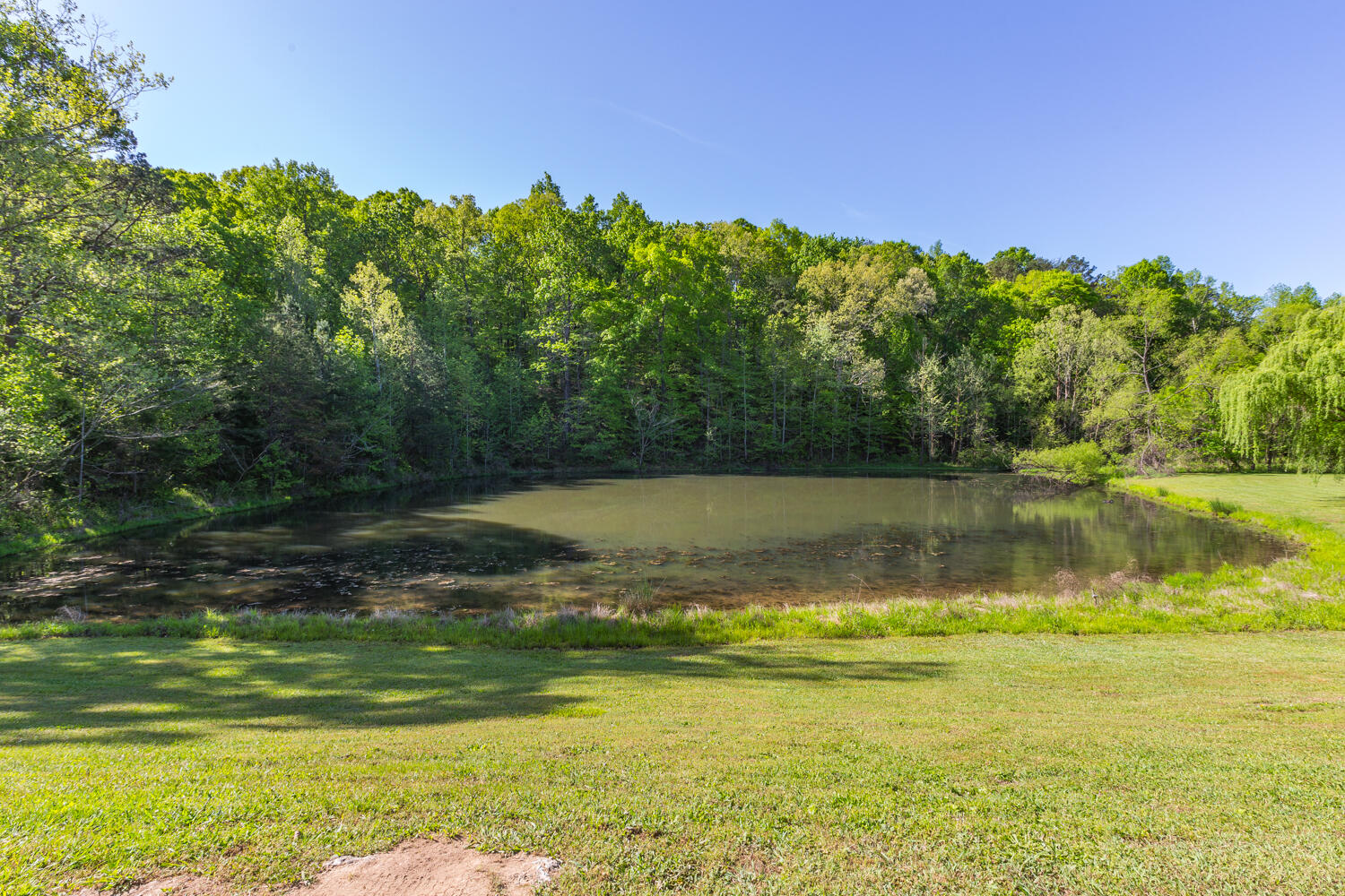 2027 West Cove Road Chickamauga, GA 30707 - Photo 5 of 58 2027 W Cove HD-1
