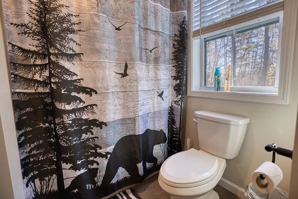 80 White Lake Road Tamworth, NH 03817 - Photo 14 of 30