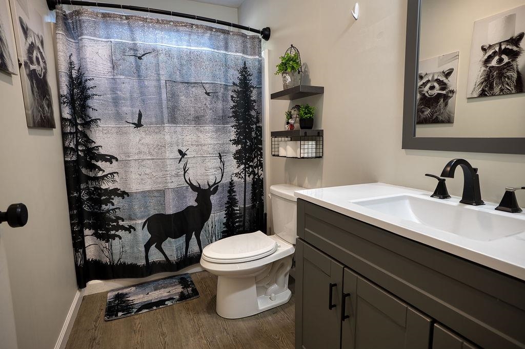 80 White Lake Road Tamworth, NH 03817 - Photo 20 of 30