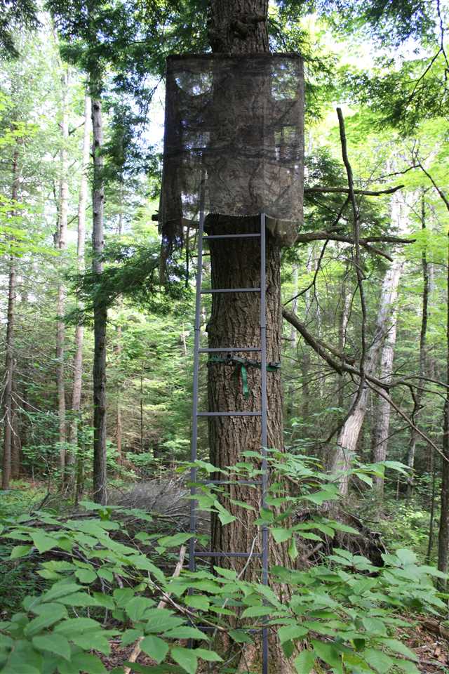 Slack Road Plainfield, NH 03781 - Photo 5 of 6
