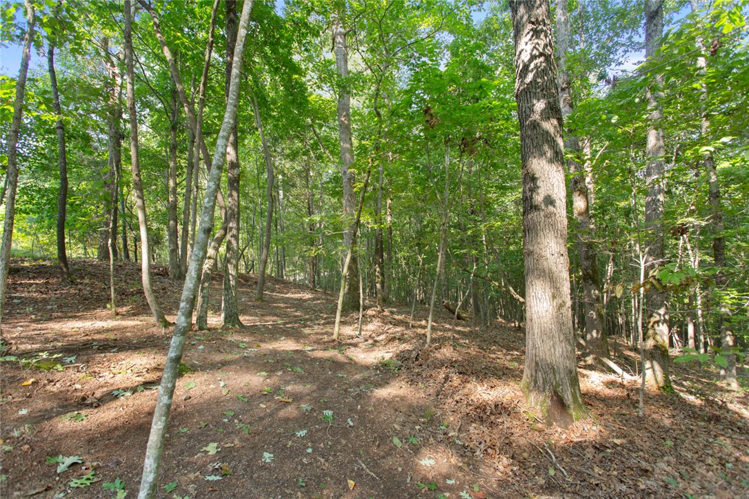 Lot 17 Sunset Ridge/ Paramount Drive Seneca, SC 29678 - Photo 9 of 19 Gallery Image 9