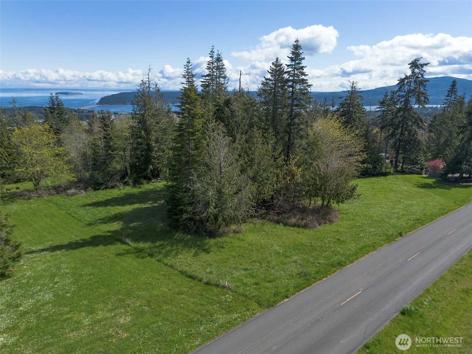 9999 Elk Pass Road Sequim, WA 98382 - Photo 7 of 40
