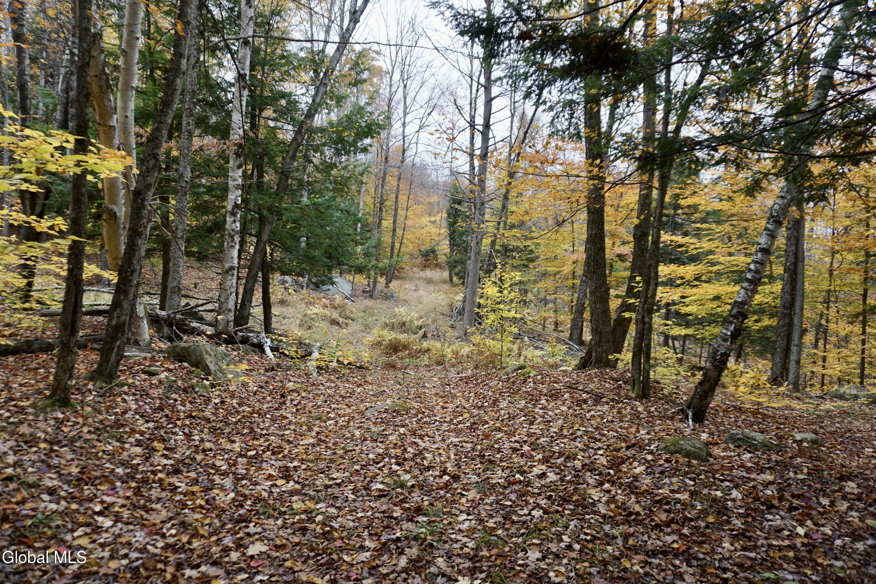 75 Carey Road Day, NY 12835 - Photo 11 of 21 DSC05381