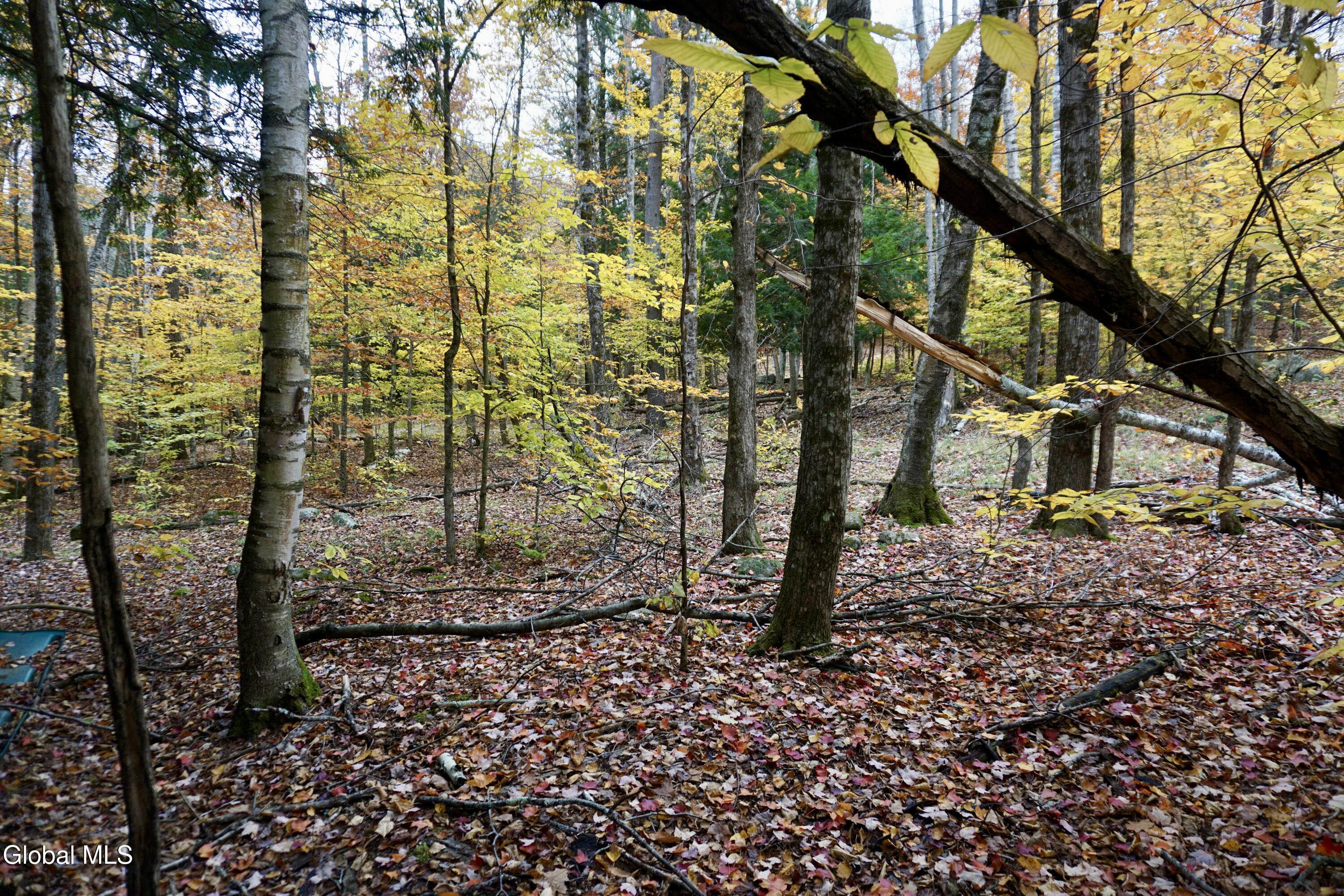 75 Carey Road Day, NY 12835 - Photo 12 of 21 DSC05380