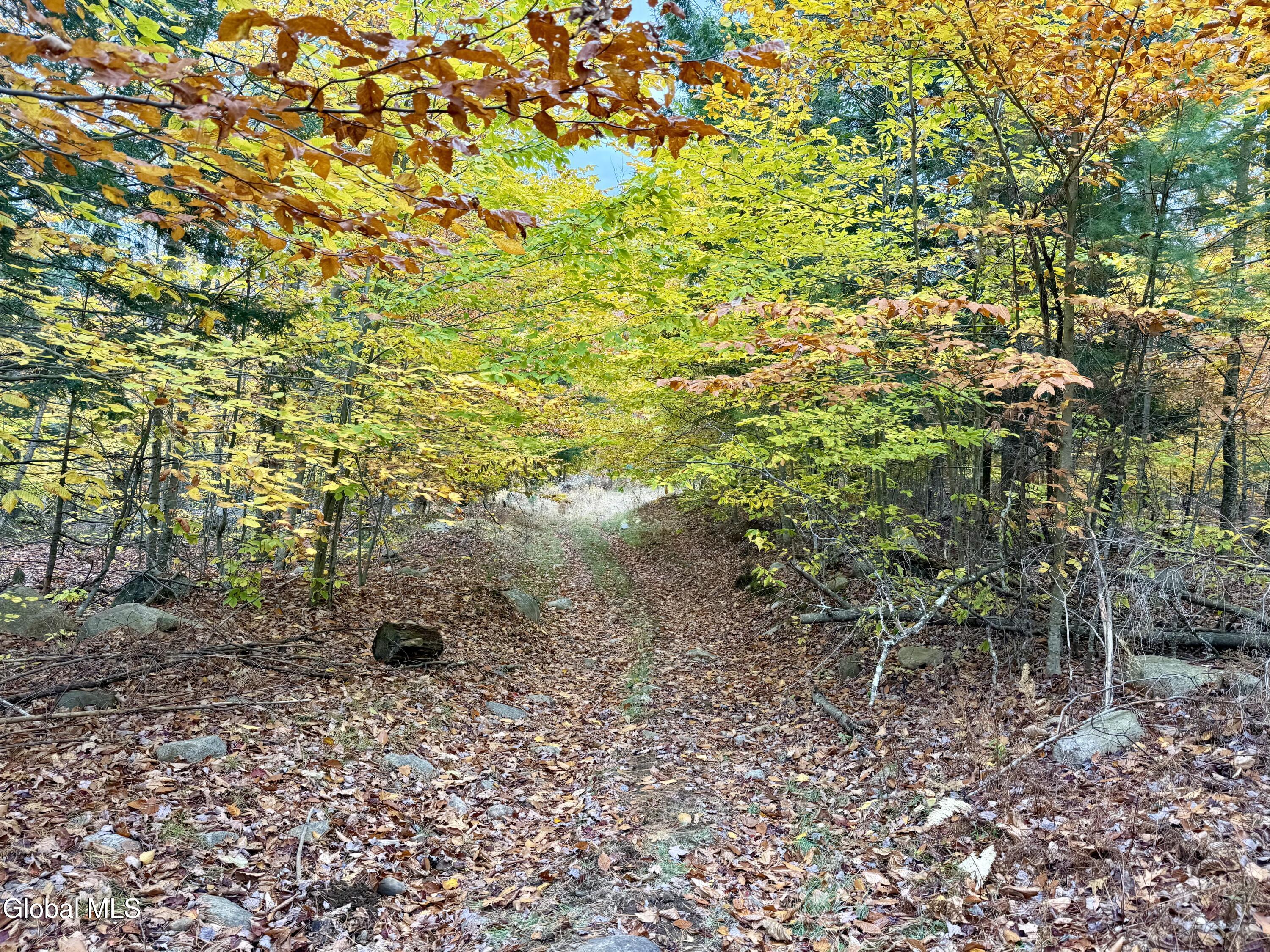 75 Carey Road Day, NY 12835 - Photo 16 of 21 IMG_1737