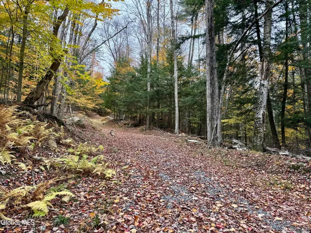 $210,000 | 75 Carey Road, Day, NY 12835