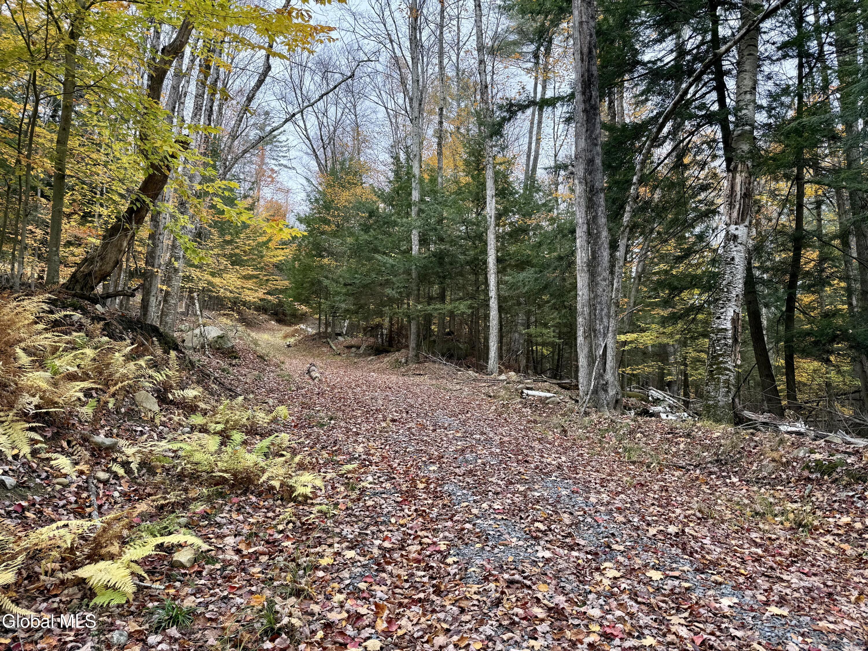 75 Carey Road Day, NY 12835 - Photo 17 of 21 IMG_1750