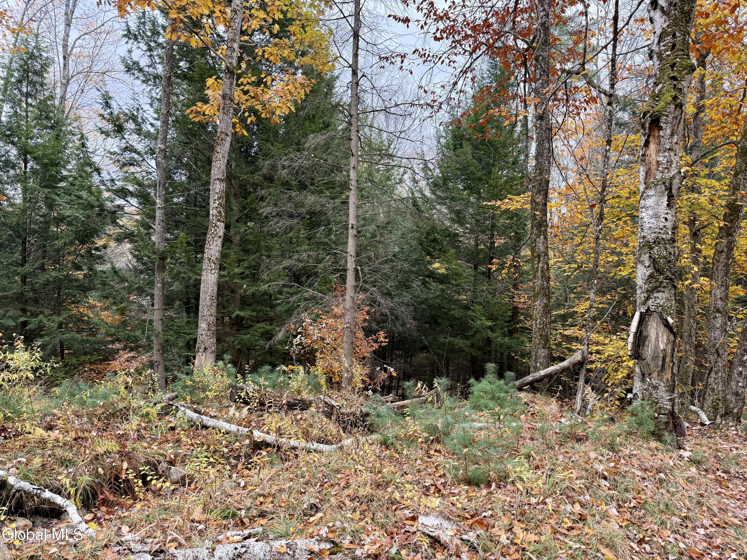 75 Carey Road Day, NY 12835 - Photo 18 of 21 IMG_1742