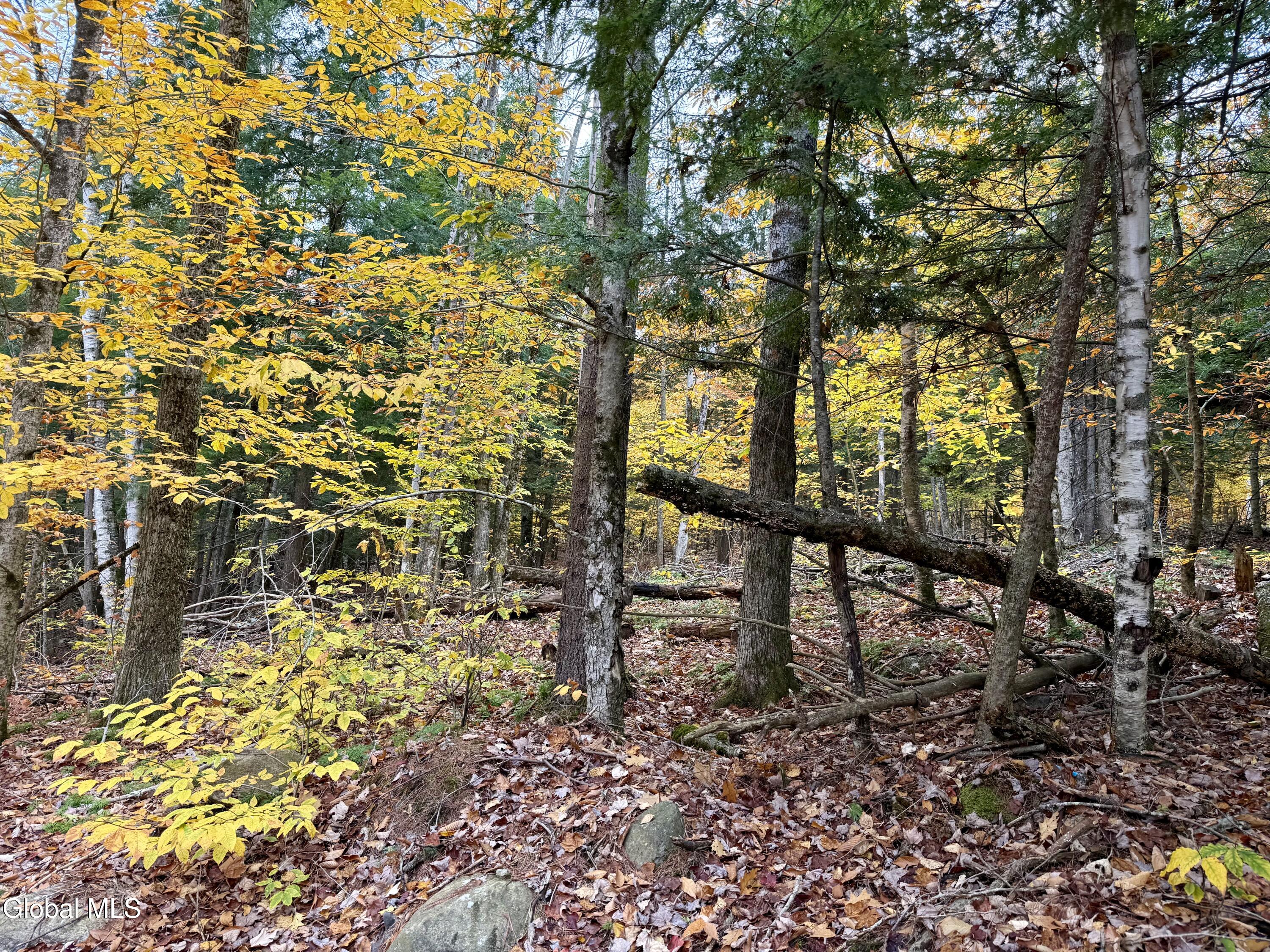 75 Carey Road Day, NY 12835 - Photo 19 of 21 IMG_1741