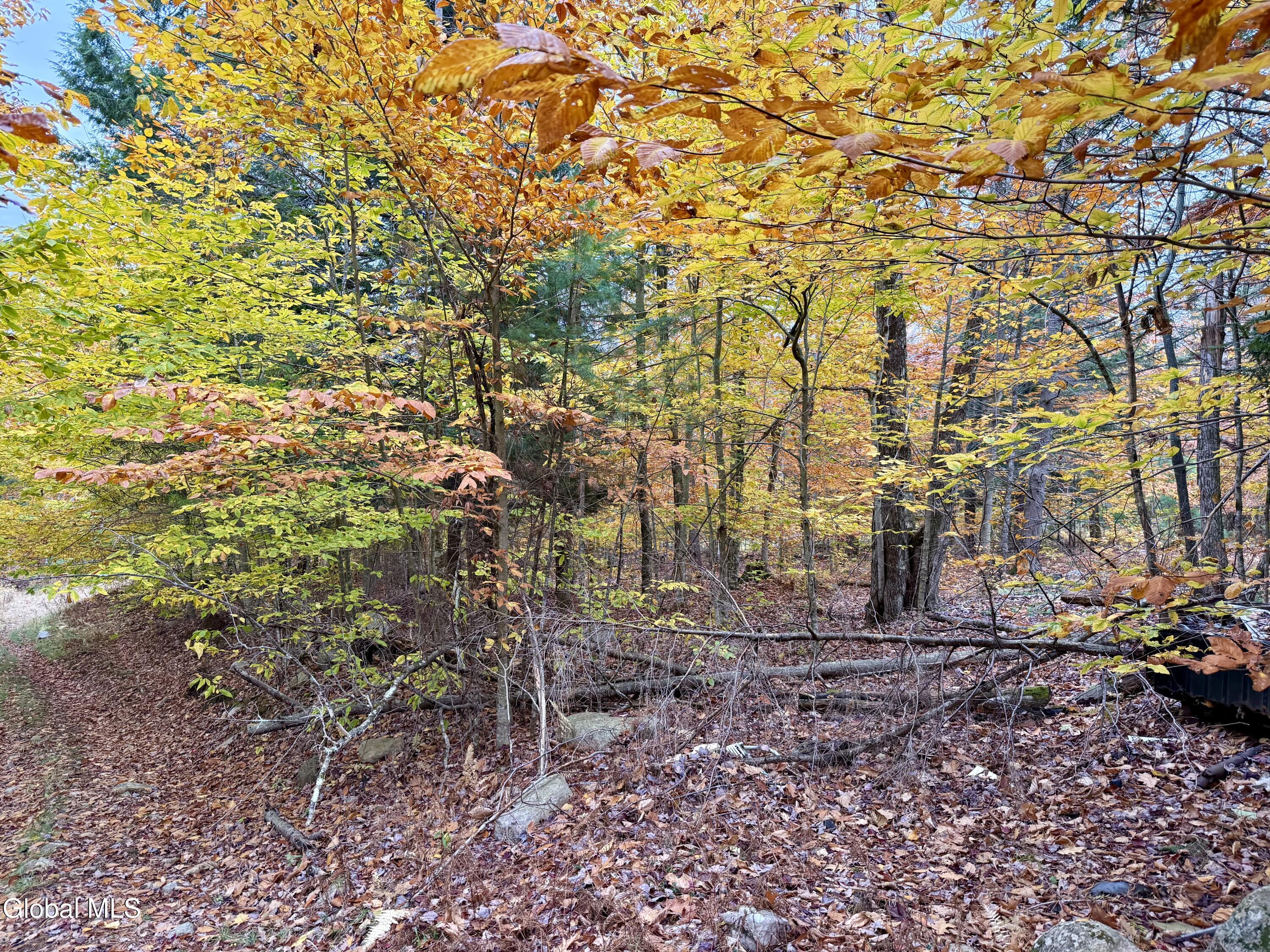 75 Carey Road Day, NY 12835 - Photo 20 of 21 IMG_1739