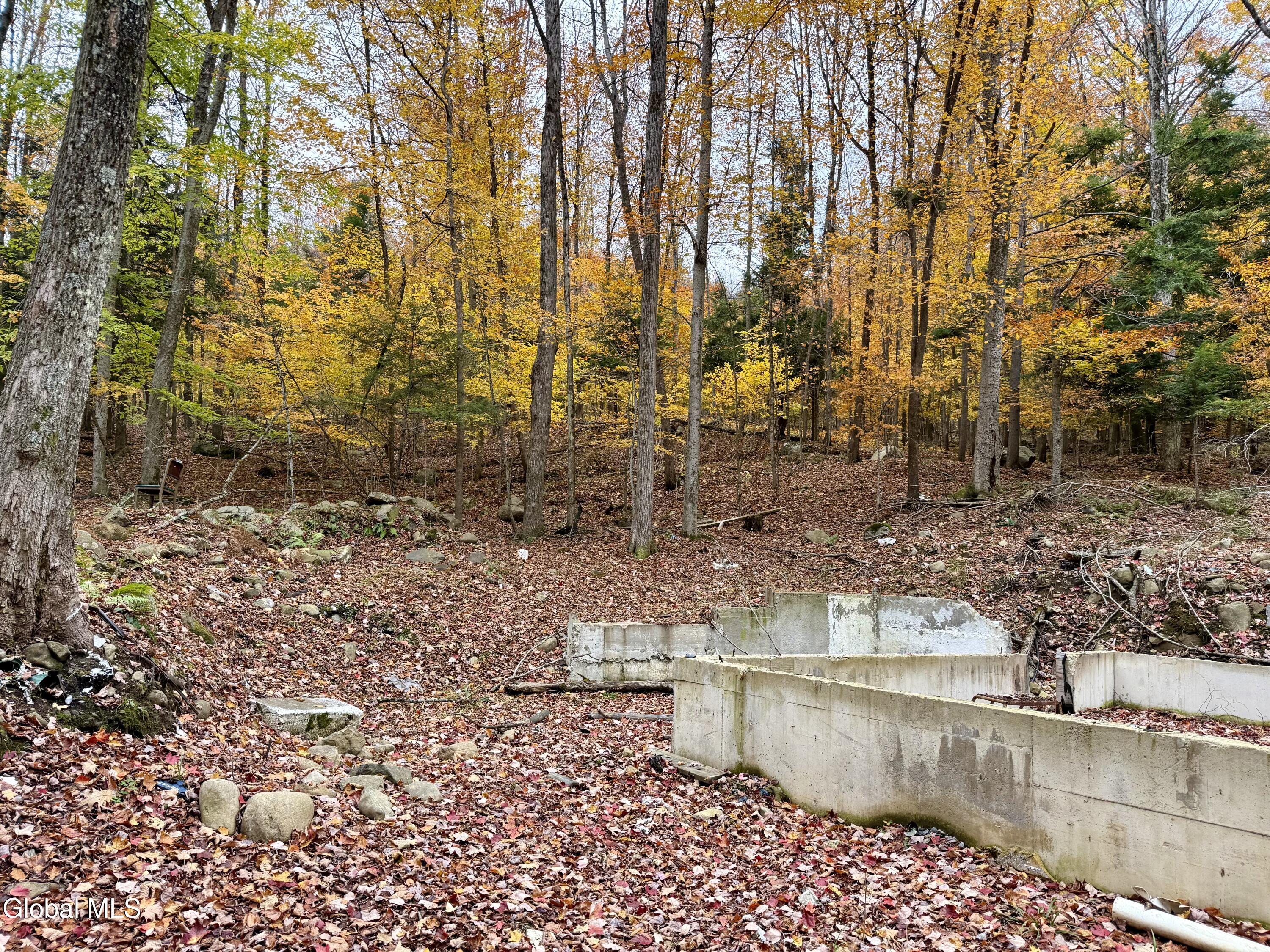 75 Carey Road Day, NY 12835 - Photo 3 of 21 IMG_1744