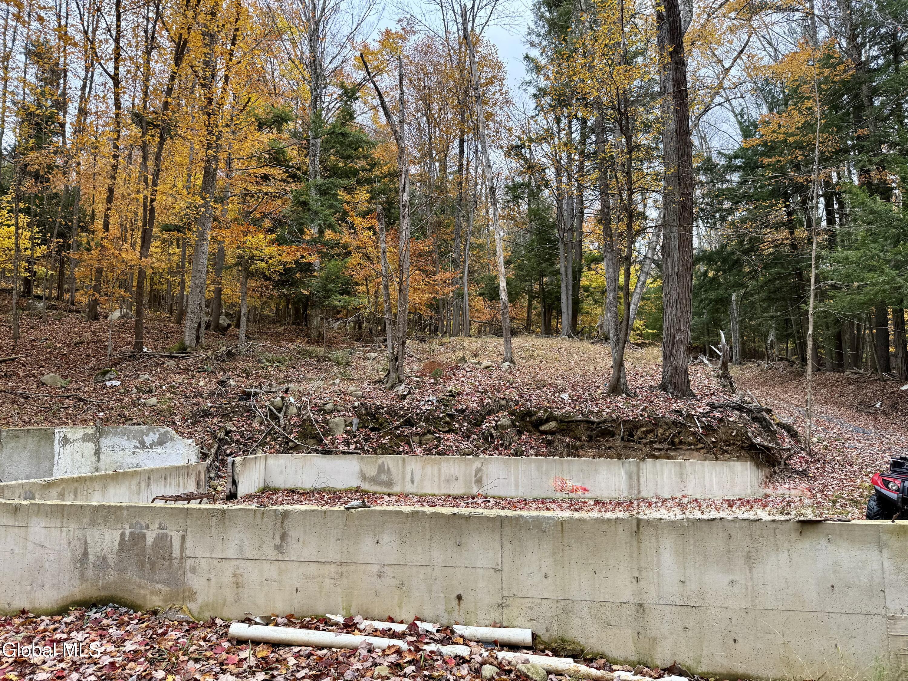 75 Carey Road Day, NY 12835 - Photo 4 of 21 IMG_1745