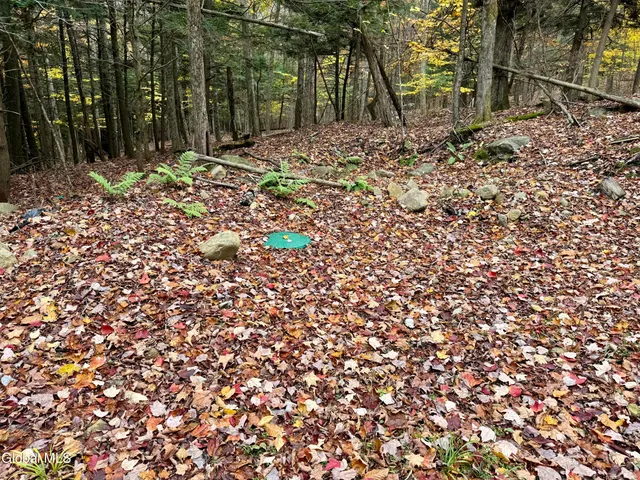 $210,000 | 75 Carey Road, Day, NY 12835