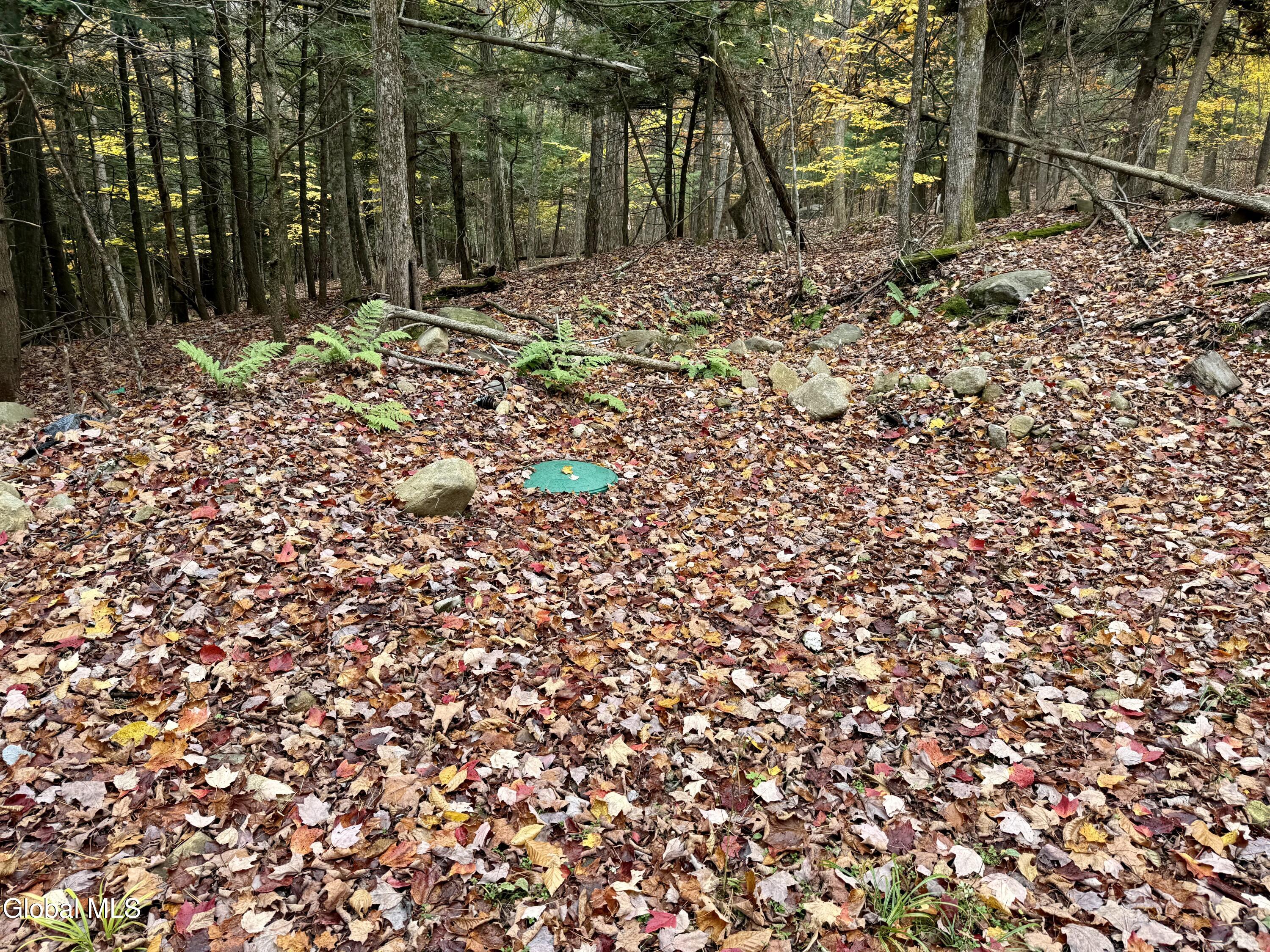 75 Carey Road Day, NY 12835 - Photo 7 of 21 IMG_1743