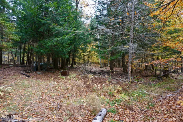 $210,000 | 75 Carey Road, Day, NY 12835