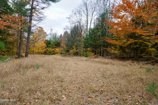 $210,000 | 75 Carey Road, Day, NY 12835