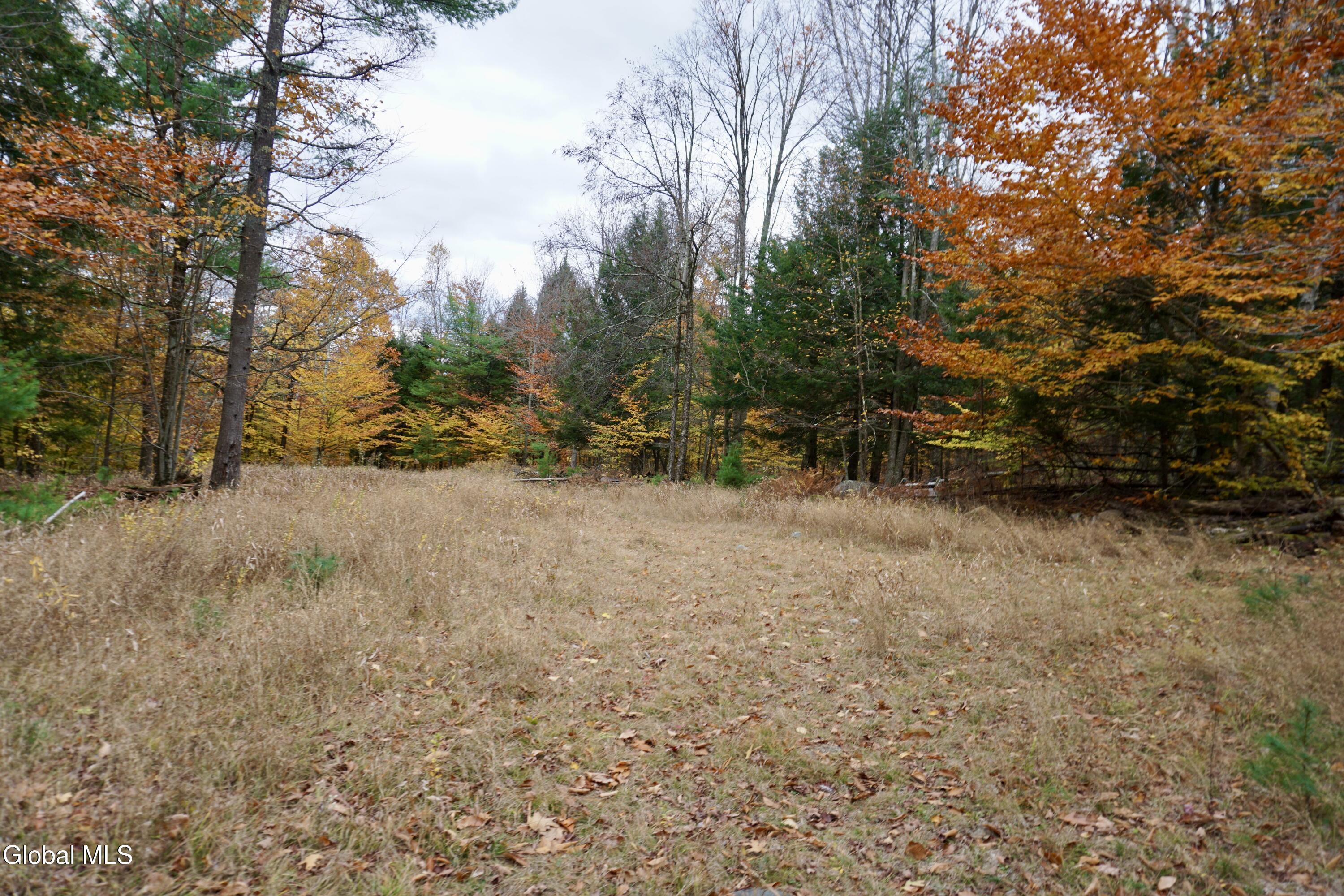 75 Carey Road Day, NY 12835 - Photo 9 of 21 DSC05385