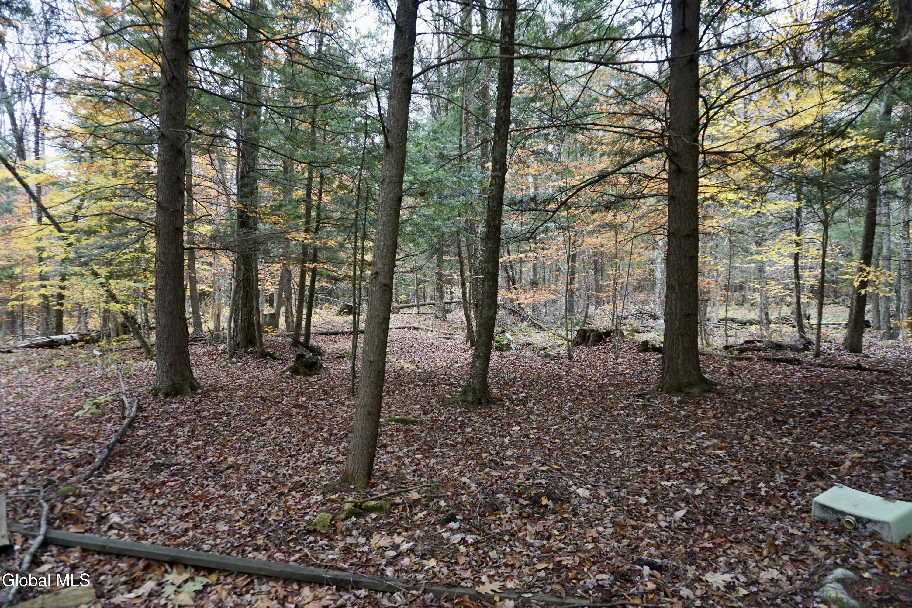 75 Carey Road Day, NY 12835 - Photo 10 of 21 DSC05387