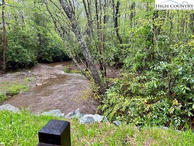 a view of a yard with plants and a bench