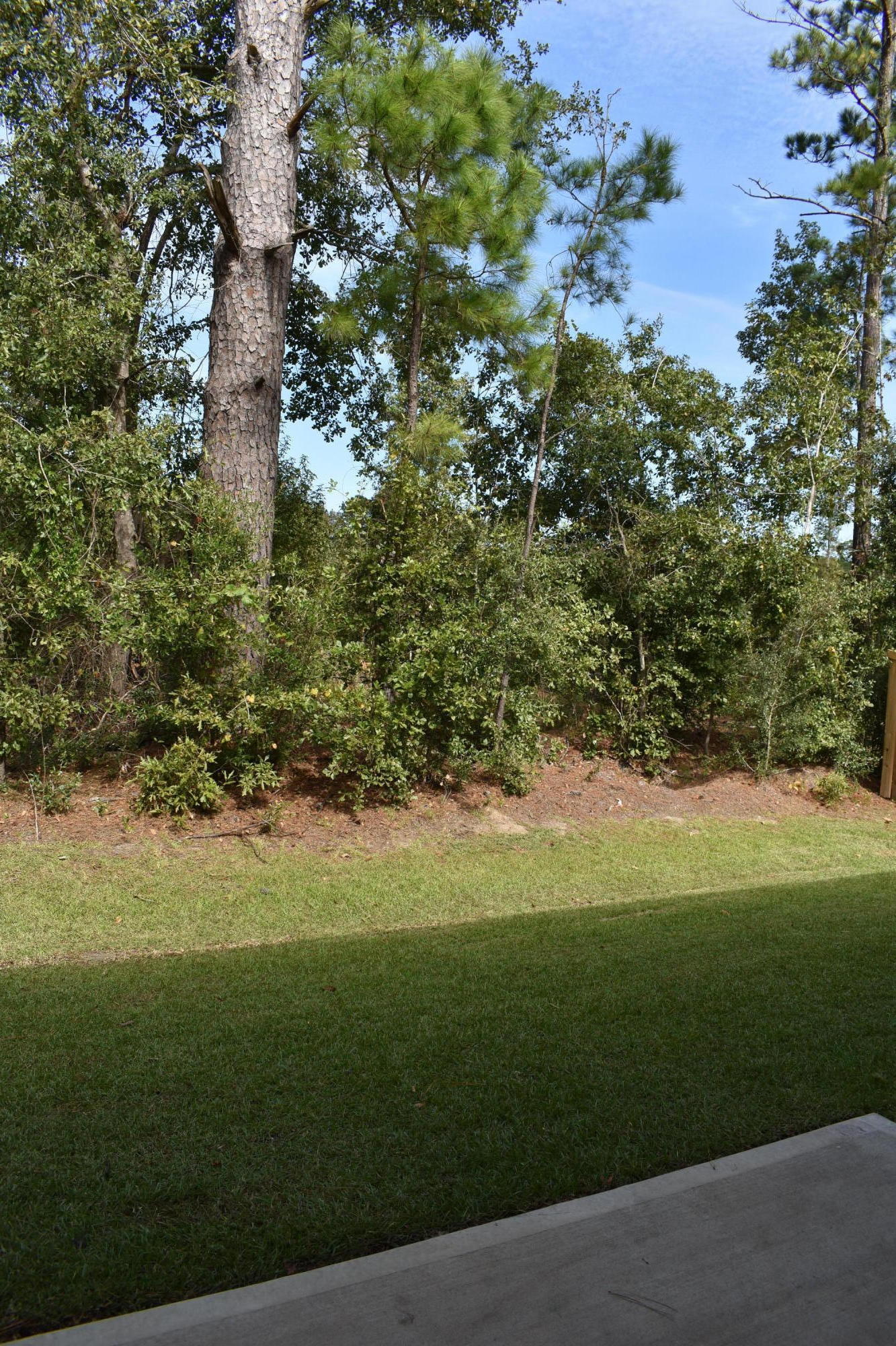 218 Cypress Marsh Road Moncks Corner, SC 29461 - Photo 3 of 26 BACKYARD