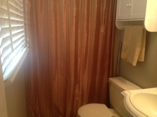 1138 Mountain Pass Road Blue Ridge, VA 24064 - Photo 13 of 46 master bath