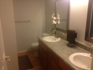 1138 Mountain Pass Road Blue Ridge, VA 24064 - Photo 28 of 46 entry full bath