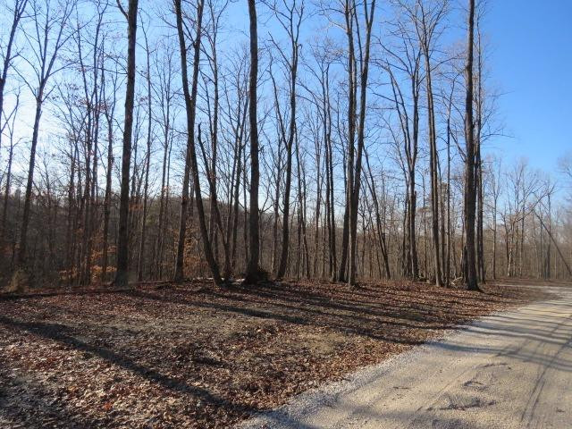 300 BEN LOWE Road Morehead, KY 40351 - Photo 2 of 10 Photo 2