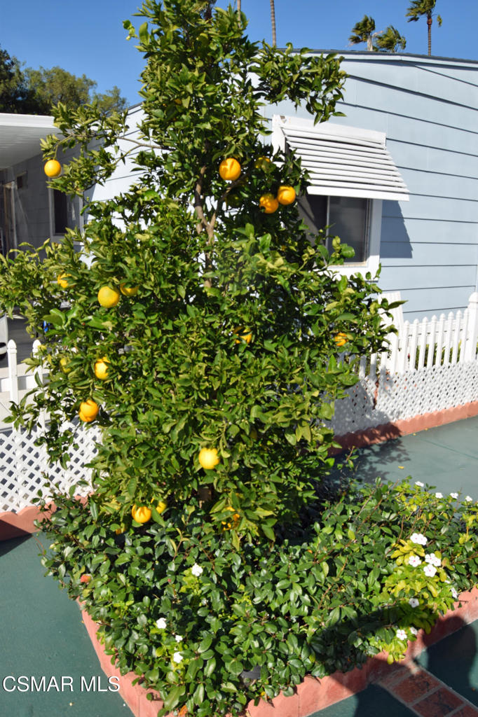 195 Tierra Rejada Road, Unit 197 Simi Valley, CA 93065 - Photo 21 of 28