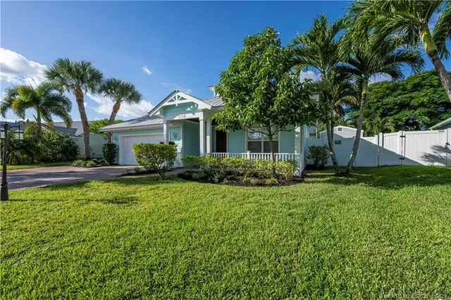 a view of a backyard with a plants and palm trees