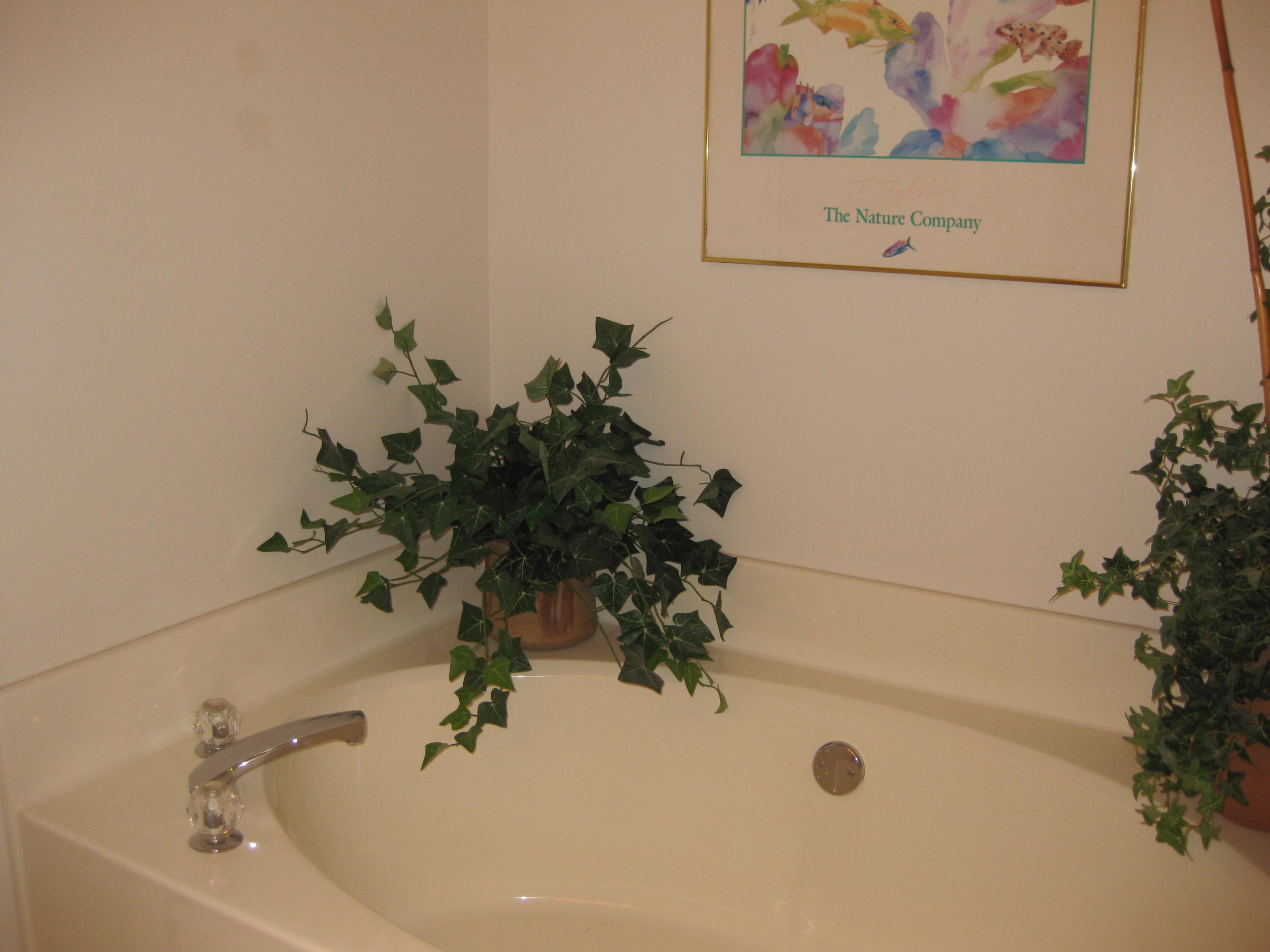 4333 Southwest Appleseed Road Port St. Lucie, FL 34953 - Photo 12 of 21 IMG_7075