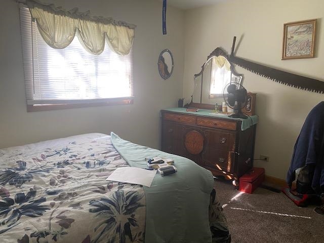 7 Clearwater Point Putnam, IL 61560 - Photo 13 of 21 a bedroom with a bed and a mirror on the dresser