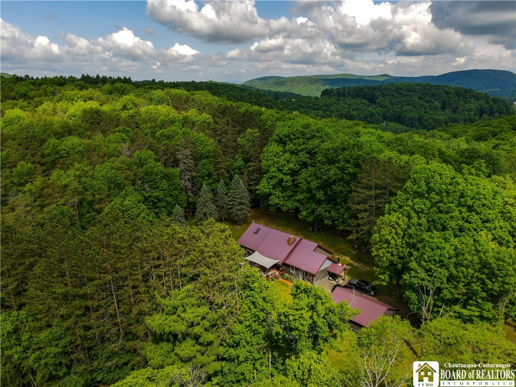 897 Butternut Brook Genesee, NY 14770 - Photo 46 of 50