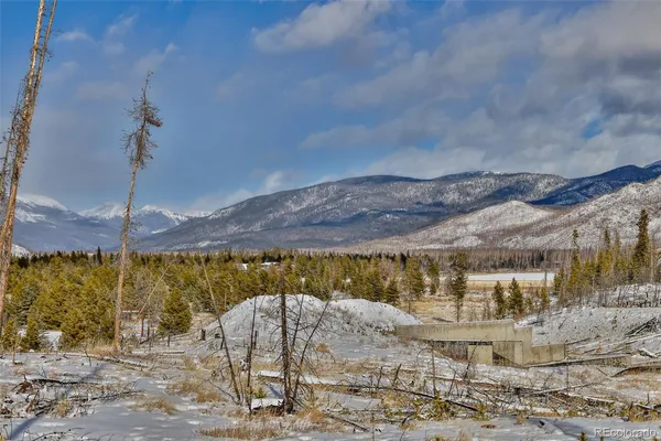 a view of a park with lots of trees